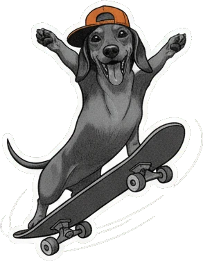Dachshund